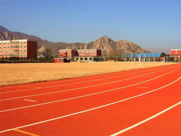 达州市橡胶跑道学校塑胶跑道 - 方案
